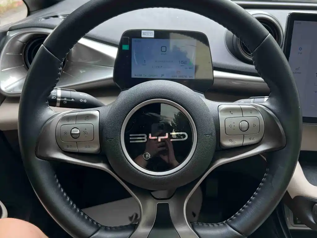 Dolphin 2023 420km fashion version купить на сайте DeffCars