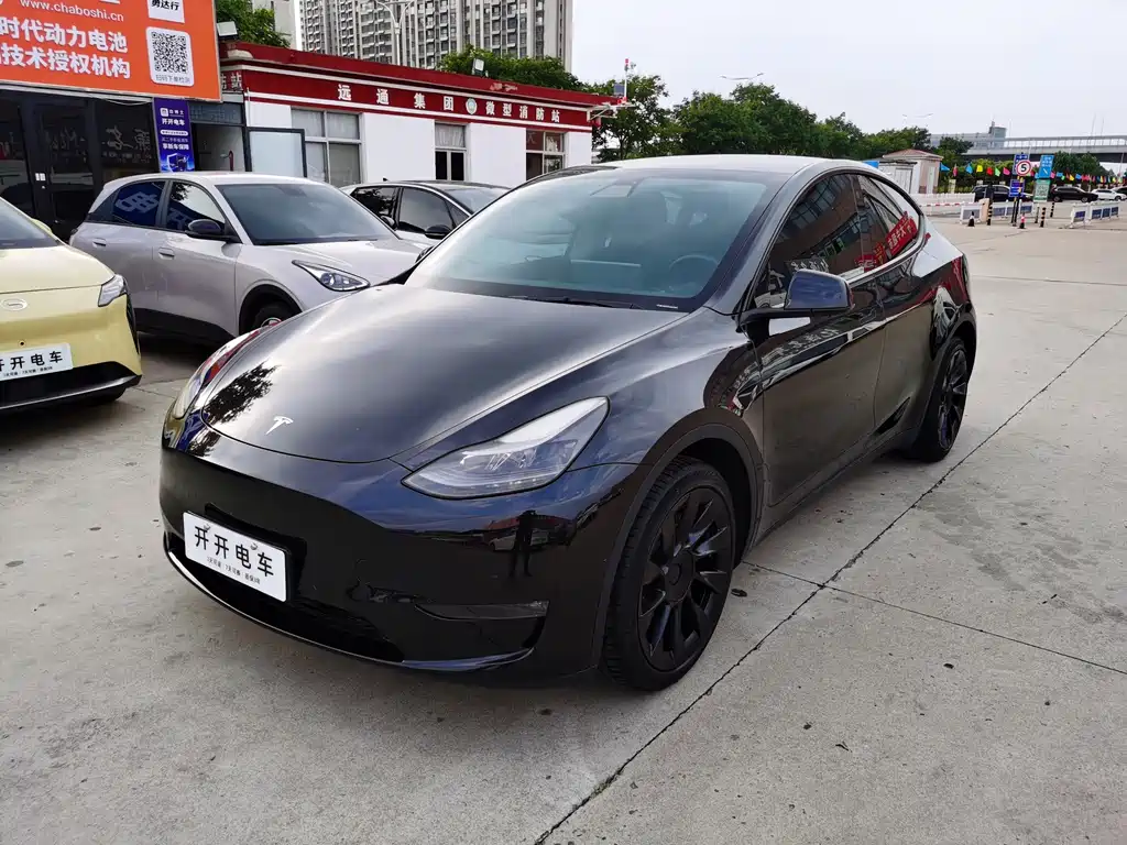 Model Y 2021 Standard Range Rear Drive Edition купить на сайте DeffCars
