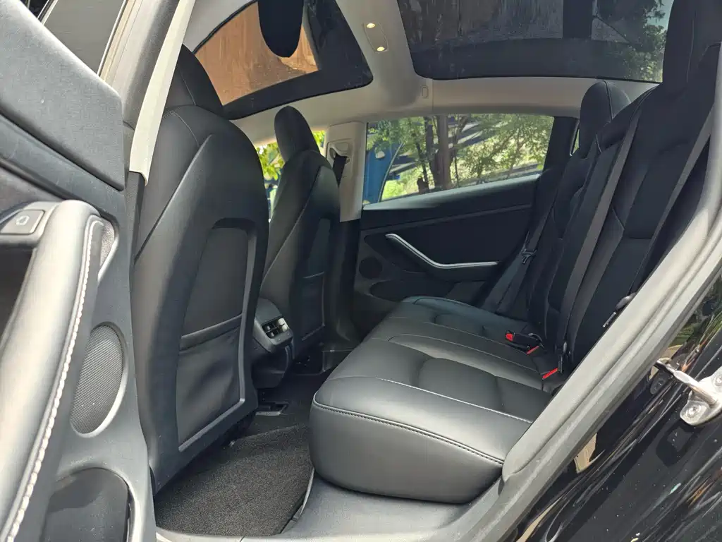 Model 3 2022 rear-wheel drive version купить на сайте DeffCars