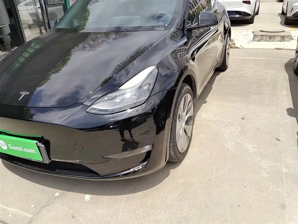 Model Y 2021 standard range rear-wheel drive version купить на сайте DeffCars