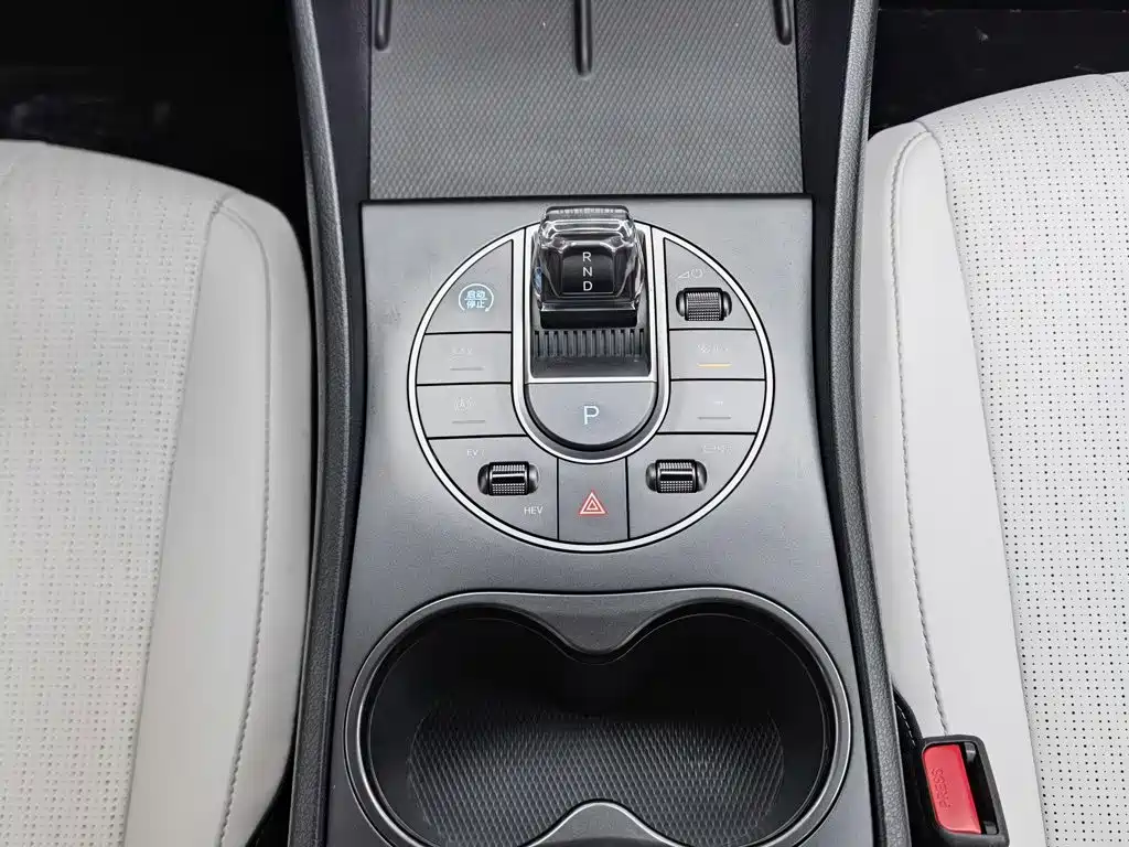 Seal 05 DM-i 2025 DM-i smart driving version 55KM luxury model купить на сайте DeffCars