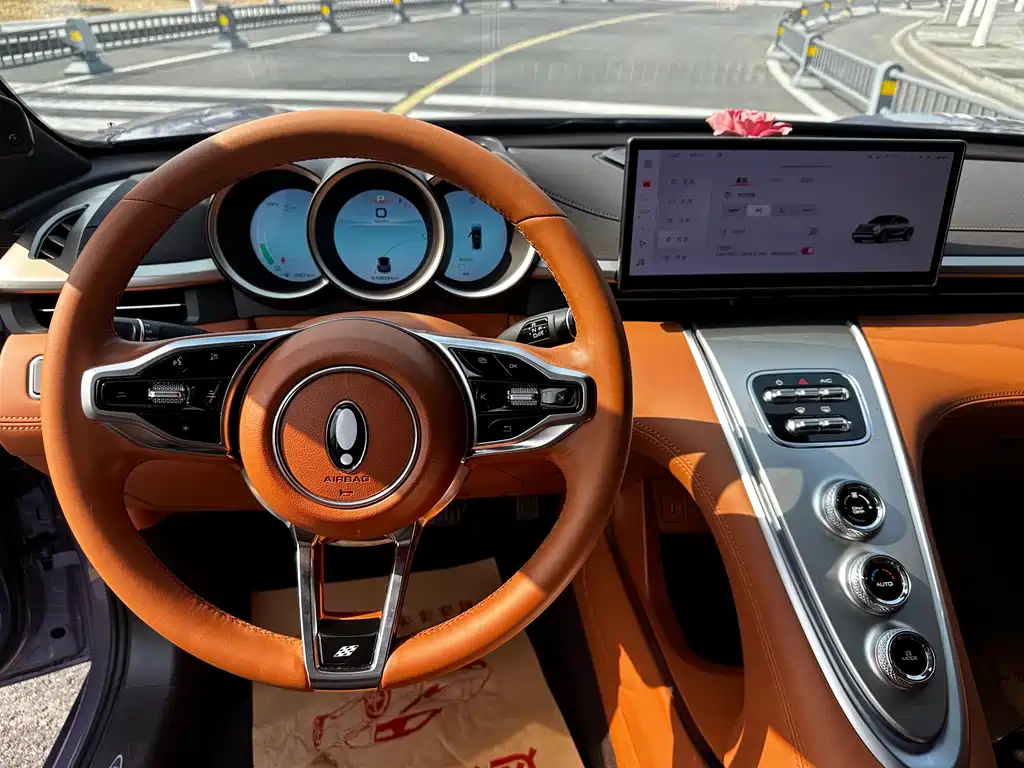 Euler Lightning Cat 2022 555km Premium Edition купить на сайте DeffCars