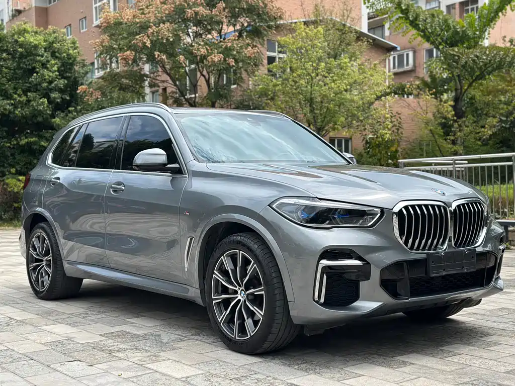 BMW X5 2022 Modified xDrive 30Li Premium M Sport Kit купить на сайте DeffCars