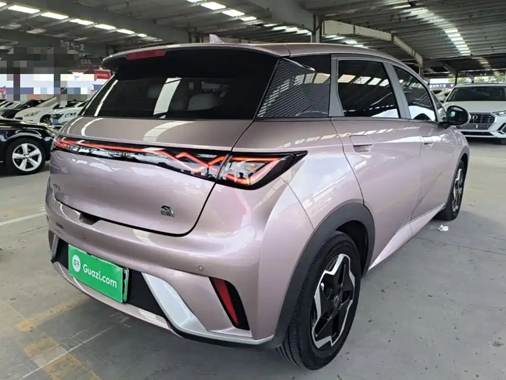 Dolphin 2021 405km Free Edition купить на сайте DeffCars