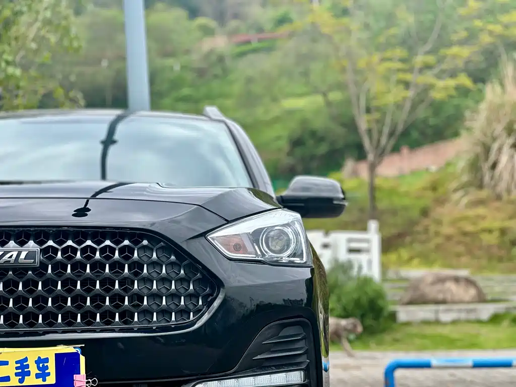 Haval M6 2019 1.5T manual two-wheel drive elite model National V купить на сайте DeffCars