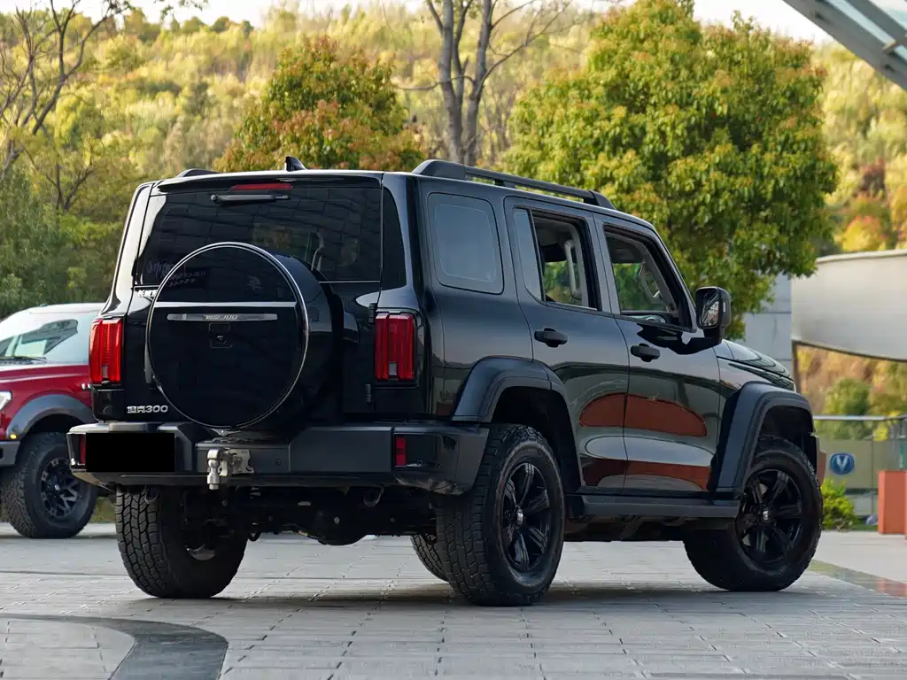 Tank 300 2024 2.0T Conqueror купить на сайте DeffCars