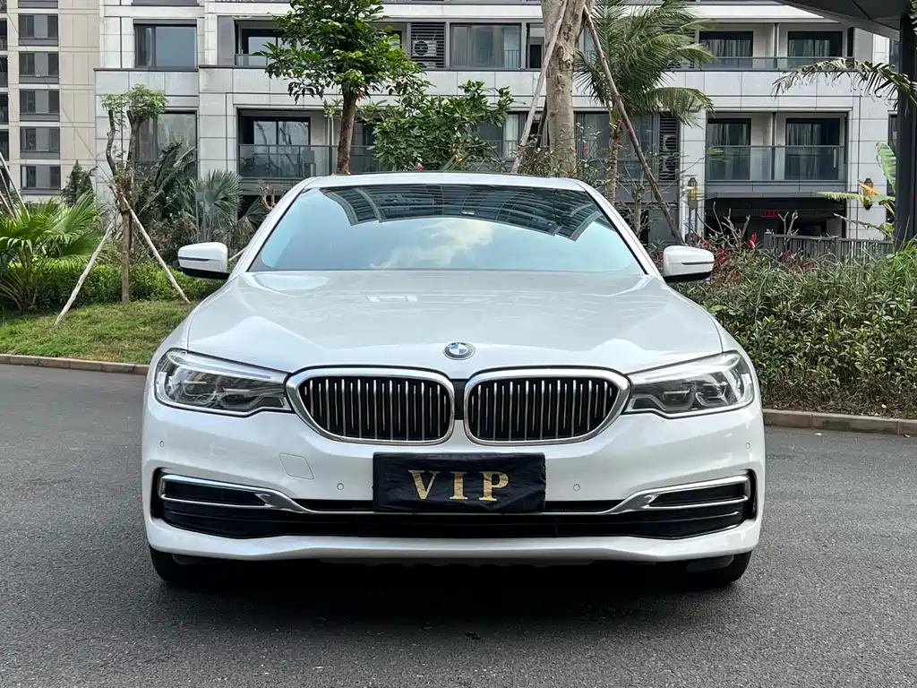 BMW 5 Series 2020 530Li Leading M Sports Package купить на сайте DeffCars