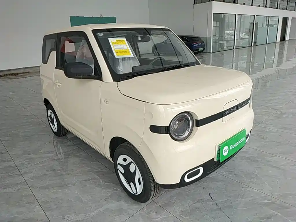 Panda 2025 Panda mini 210km Yuanqi Bear купить на сайте DeffCars
