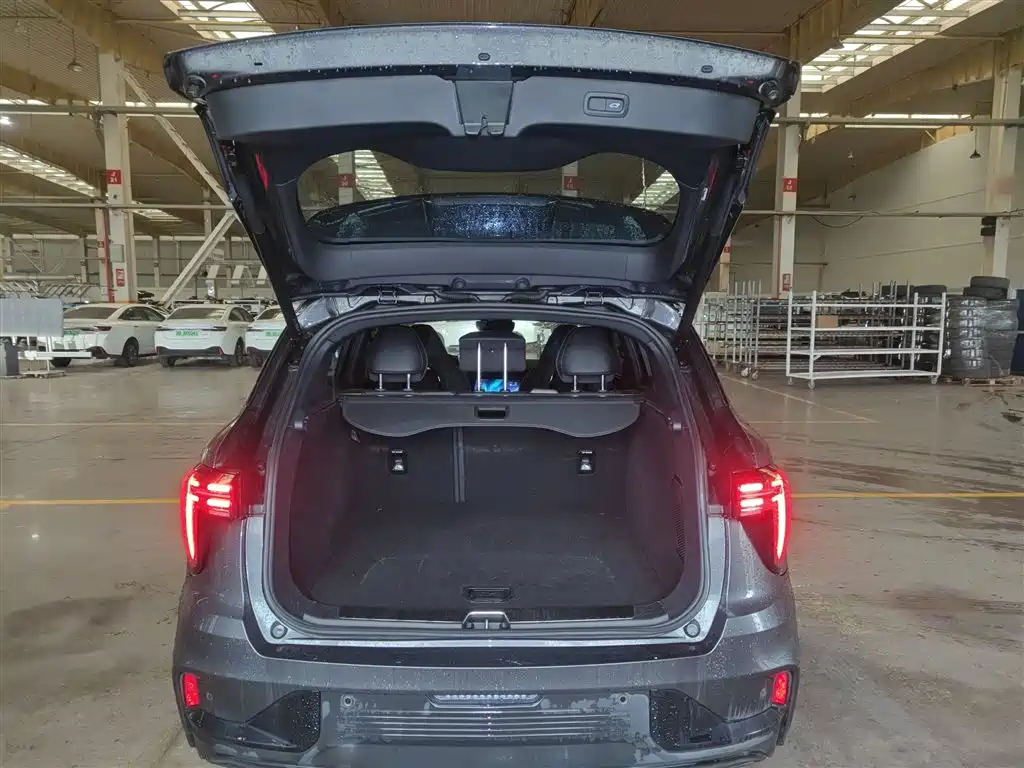 Lynk & Co 01 2023 1.5TD EM-F PM купить на сайте DeffCars