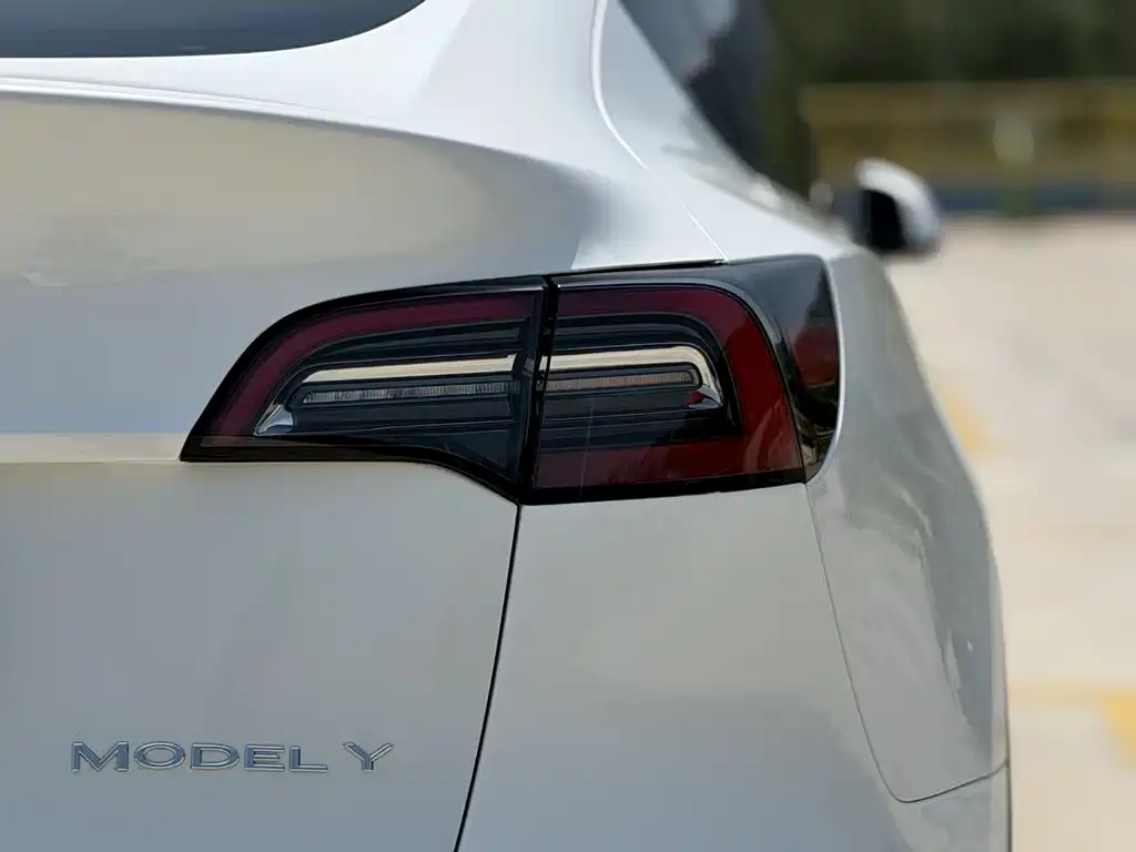 Model Y 2021 standard range rear-wheel drive version купить на сайте DeffCars