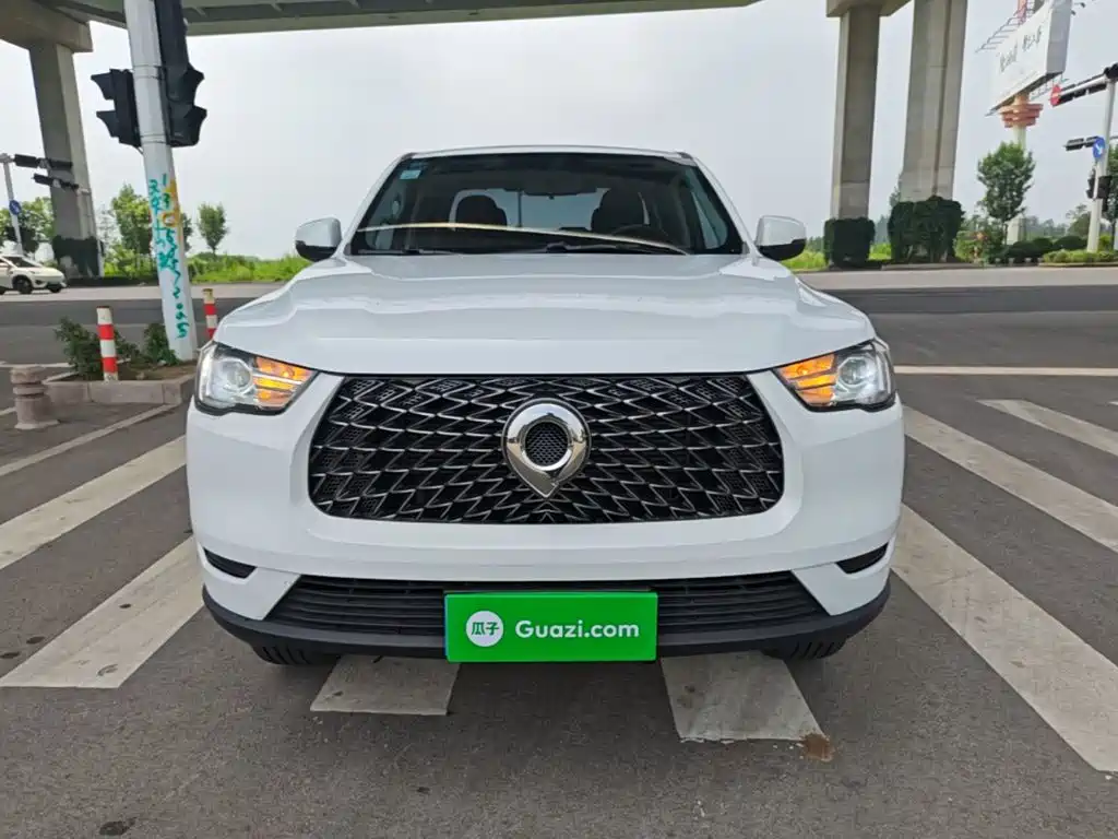 Cannon (Poer) 2019 2.0T Commercial Manual Diesel 2WD Elite Long Case GW4D20M купить на сайте DeffCars