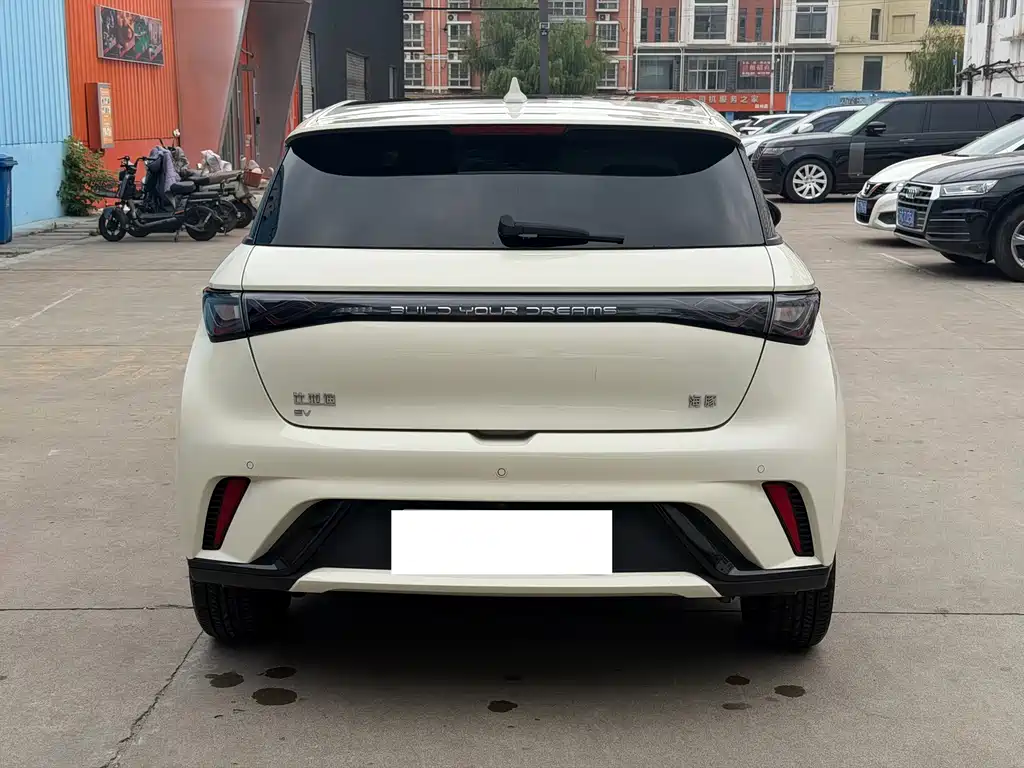Dolphin 2024 Honor Edition 420km Fashion Edition купить на сайте DeffCars