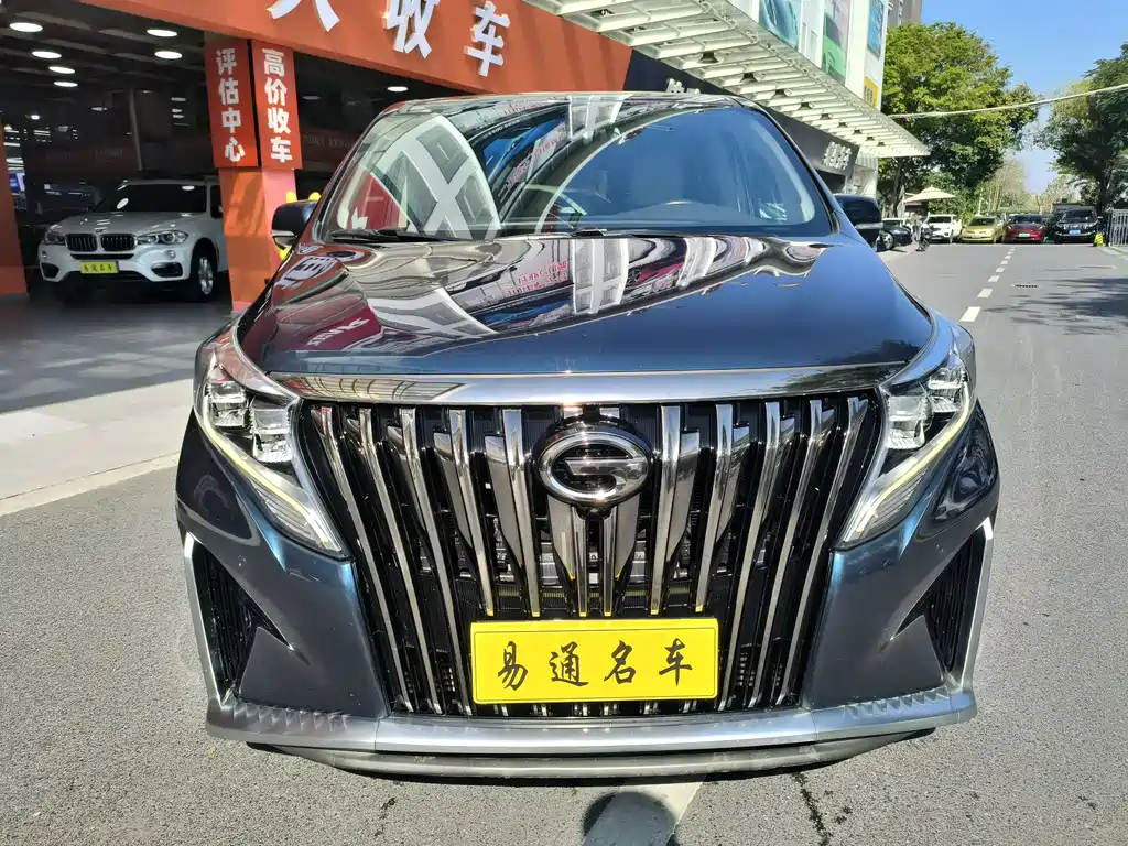 Trumpchi M8 2021 Master Series 390T Extreme Edition купить на сайте DeffCars