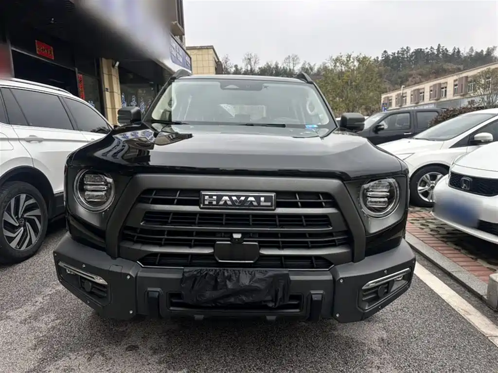 Havaldog 2024 2.0T DCT Chinese Pastoral Dog Edition купить на сайте DeffCars