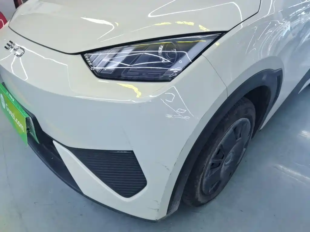 Seagull 2025 305km active version купить на сайте DeffCars
