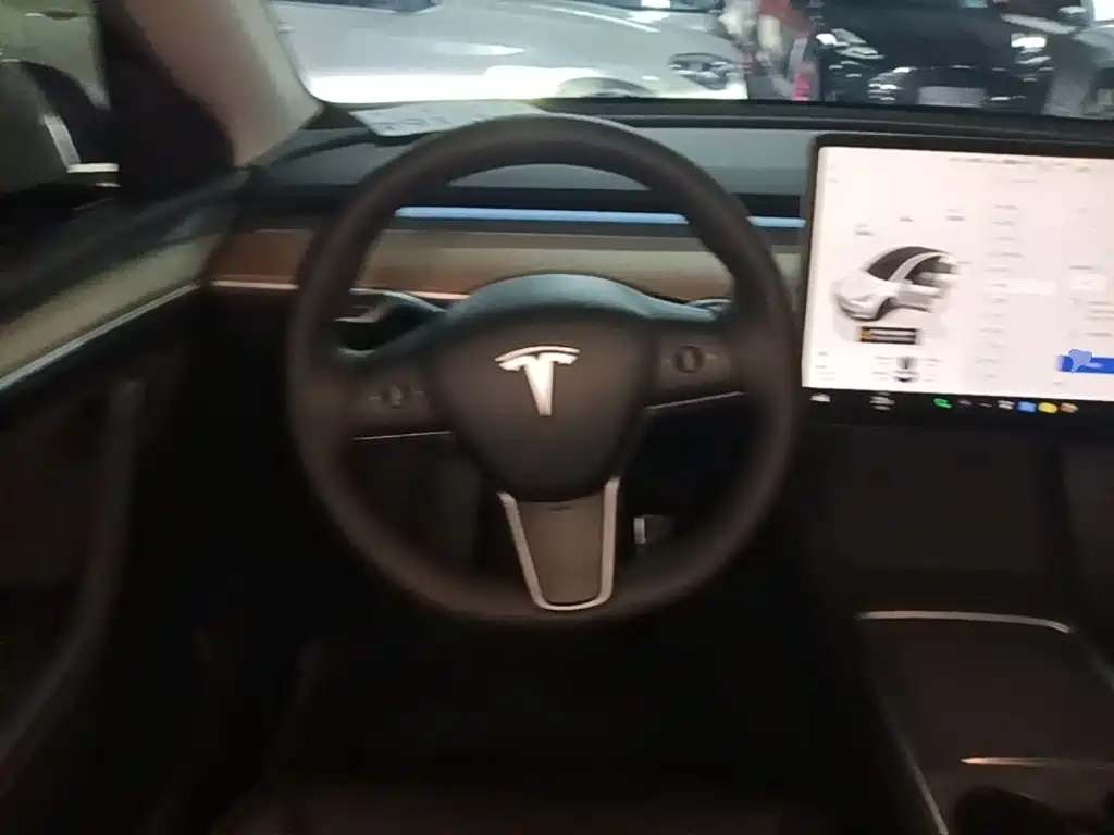Model Y 2022 rear-wheel drive version купить на сайте DeffCars