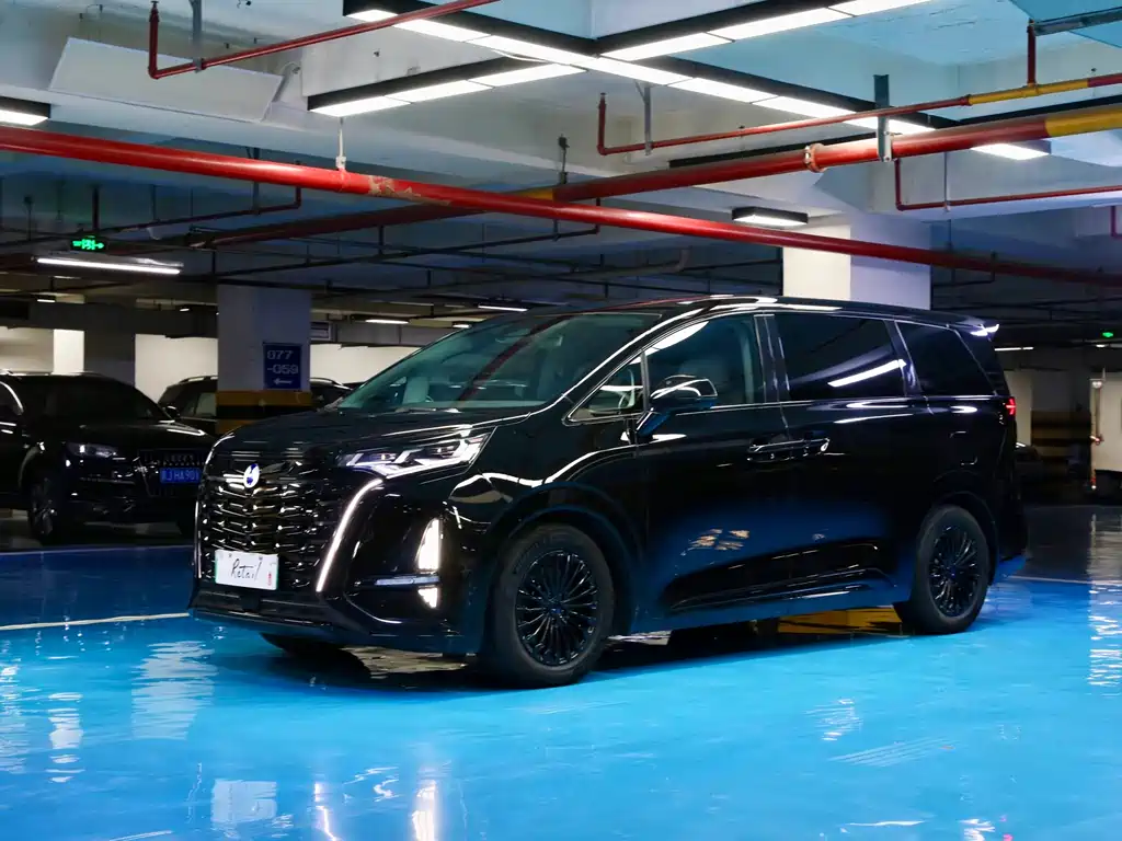 Denza D9 2022 DM-i 1040 Premium Type купить на сайте DeffCars