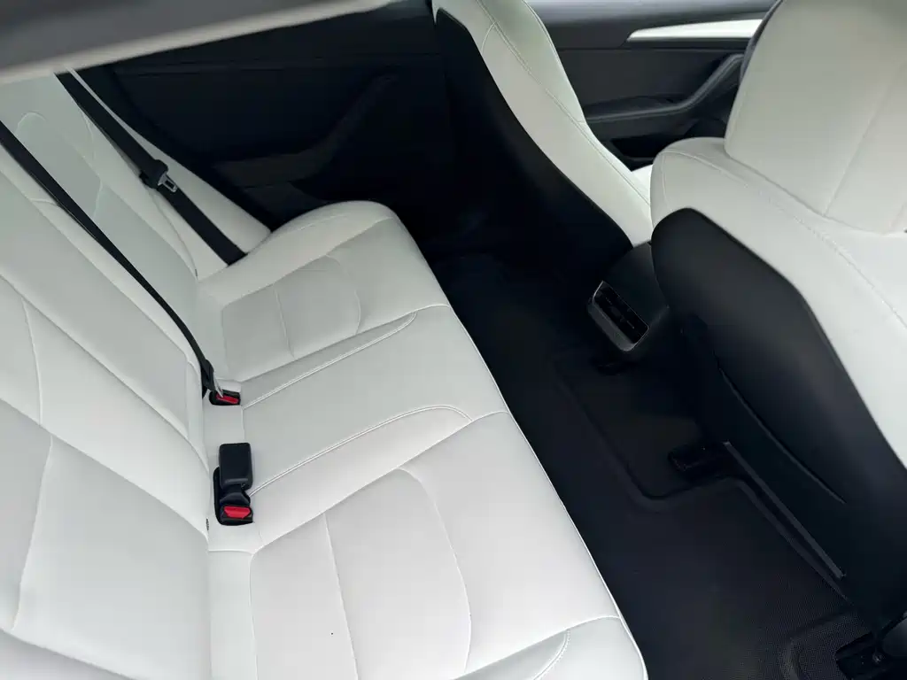 Model 3 2021 facelift standard range rear drive upgraded version 3D1 купить на сайте DeffCars