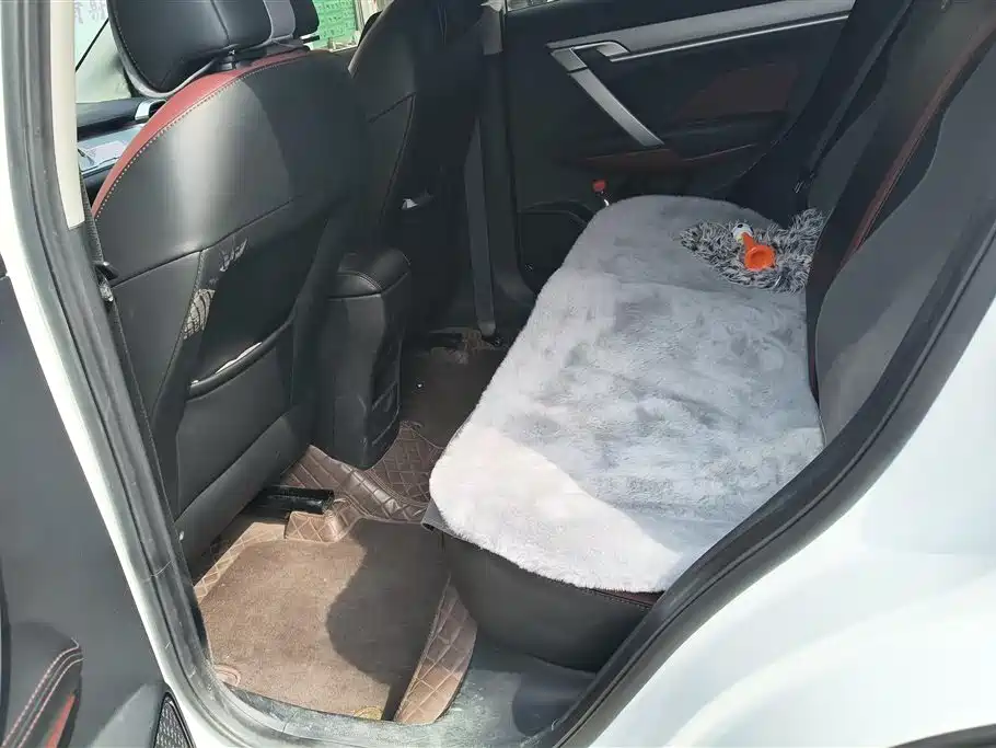 Binyue 2021 1.4T Manual Gold Edition купить на сайте DeffCars