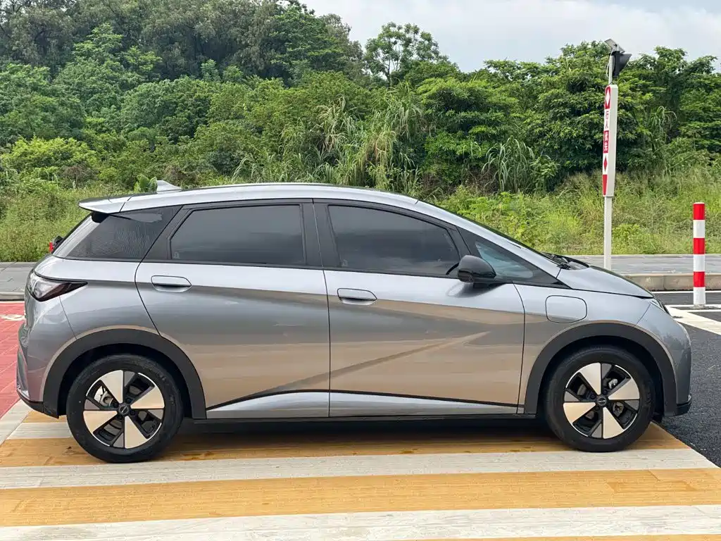 Dolphin 2024 Honor Edition 420km Free купить на сайте DeffCars
