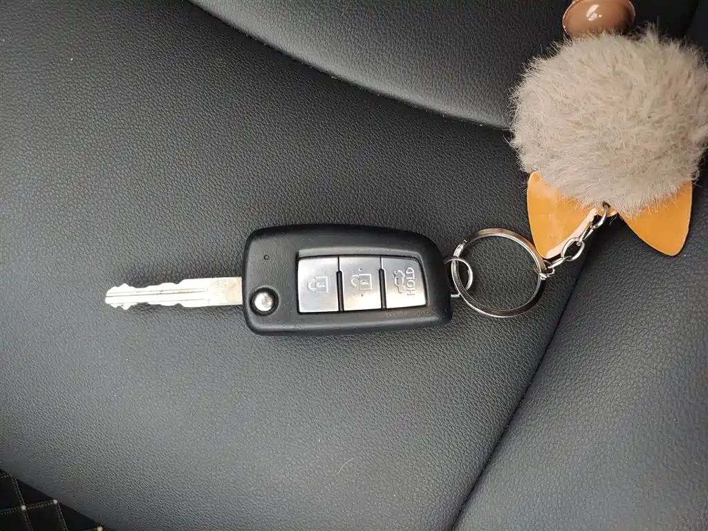 Bluebird 2019 1.6L CVT Cool Edition National VI купить на сайте DeffCars