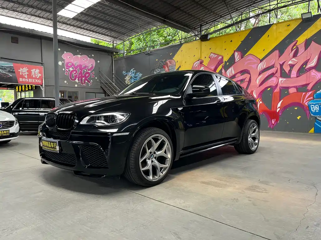 BMW X6 2009 xDrive35i купить на сайте DeffCars
