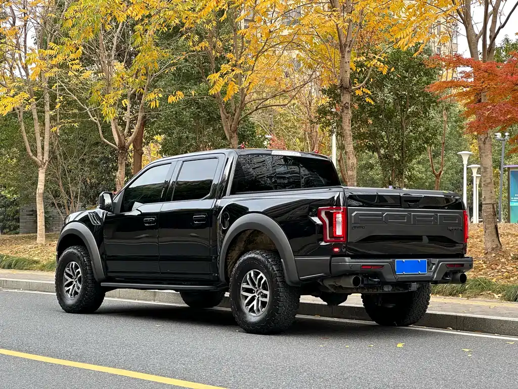 Ford F-150 Raptor 2018 3.5T Raptor Performance Enhanced Edition купить на сайте DeffCars