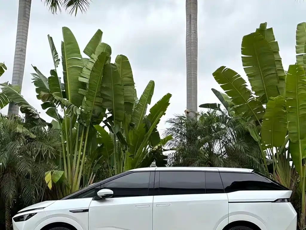 Xpeng X9 2025 pure electric 740 long battery life Max купить на сайте DeffCars