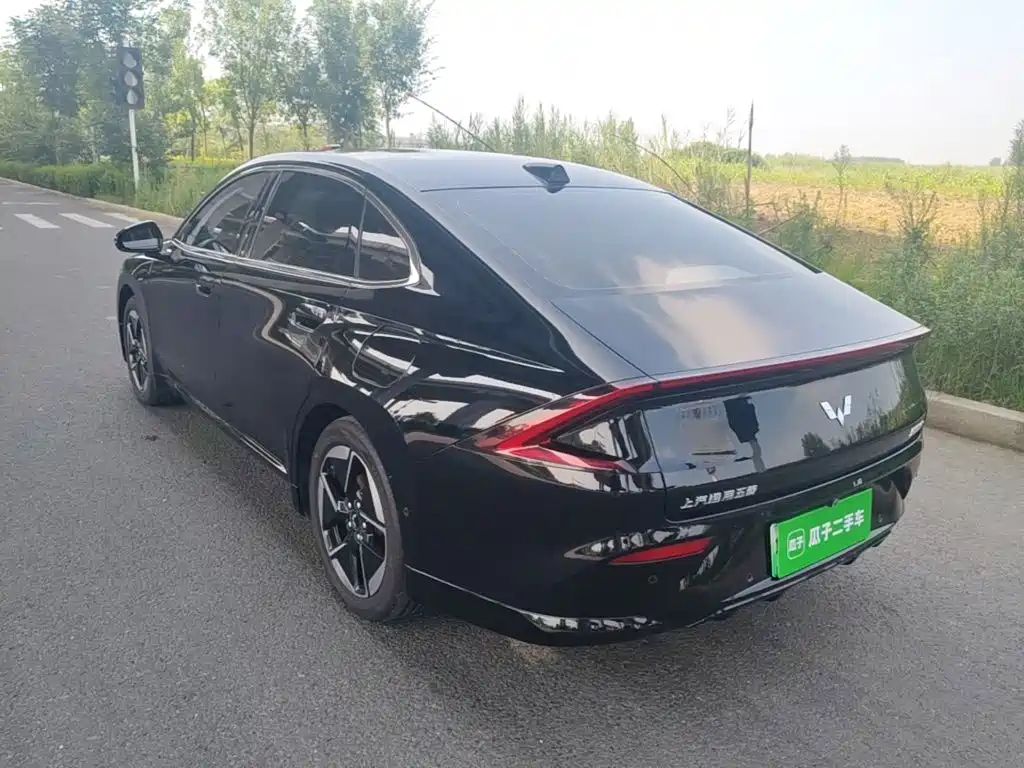 Starlight 2025 610km smart flagship model купить на сайте DeffCars