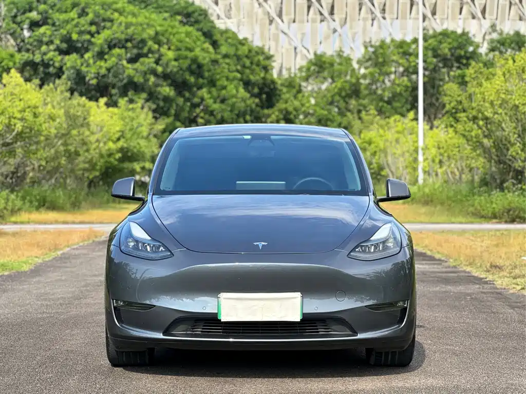 Model Y 2021 long-range all-wheel drive version купить на сайте DeffCars