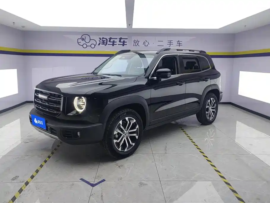 Haval Big Dog 2021 1.5T DCT two-wheel drive Border Collie version купить на сайте DeffCars