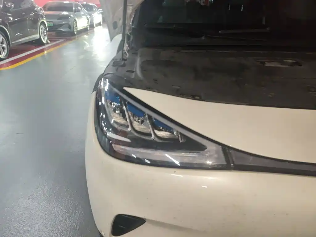 smart Elf #1 2022 Pro+ version купить на сайте DeffCars