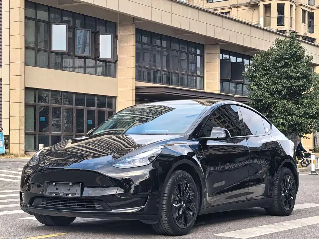 Model Y 2022 modified rear-wheel drive version купить на сайте DeffCars