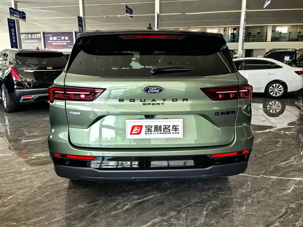 Lingrui 2025 EcoBoost 170 Collar Type PLUS купить на сайте DeffCars