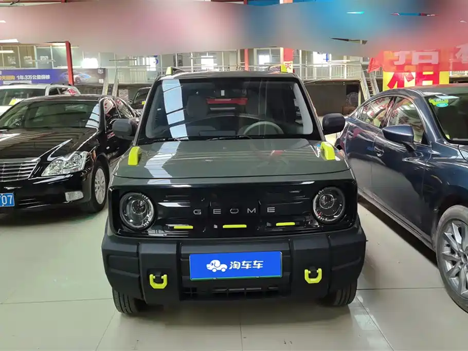 Panda 2025 Panda mini 210km Yuanqi Bear купить на сайте DeffCars