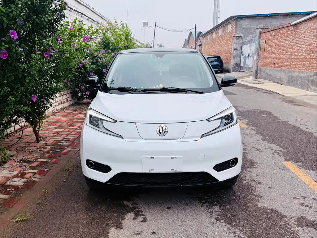 Young Guangxiaoxin 2023 302km Pearl Edition купить на сайте DeffCars
