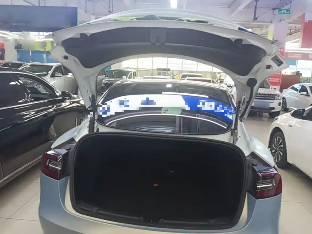 Model 3 2021 Standard Range Rear Drive Upgraded Version купить на сайте DeffCars