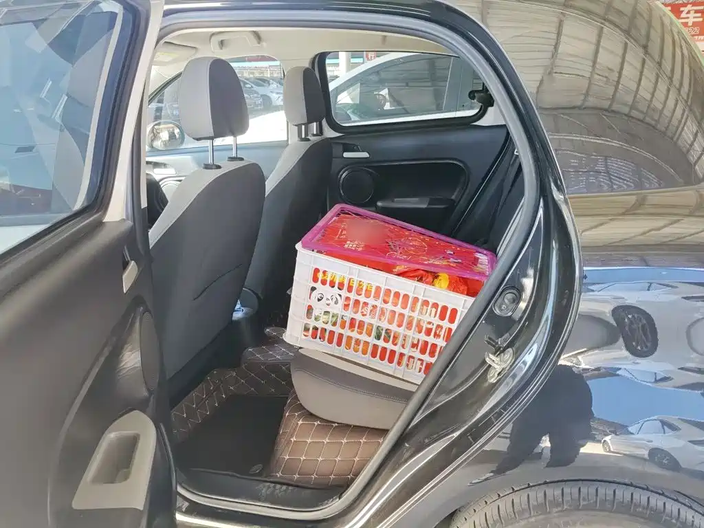 Euler Black Cat 2021 301km Cute Pet Edition купить на сайте DeffCars