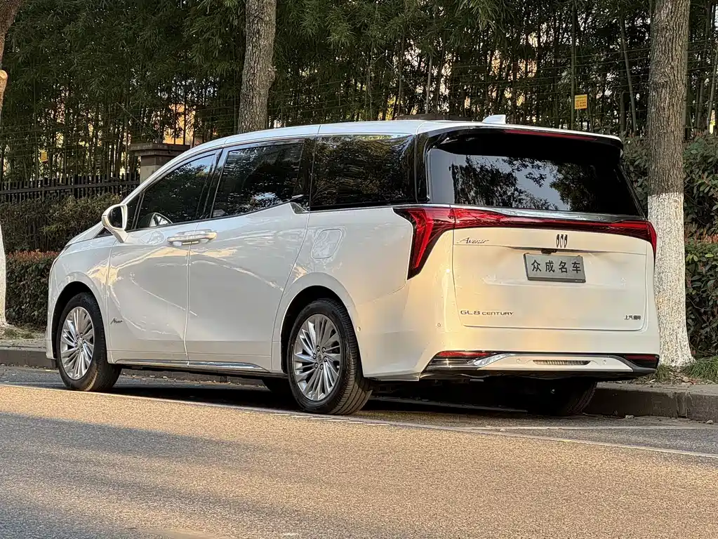 Century 2023 2.0T Six-seater Yuanshi Edition купить на сайте DeffCars