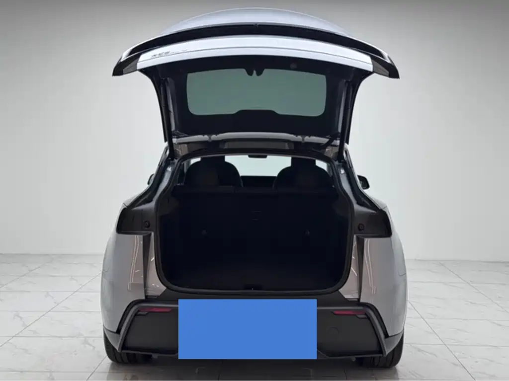 Model Y 2025 rear-wheel drive version купить на сайте DeffCars