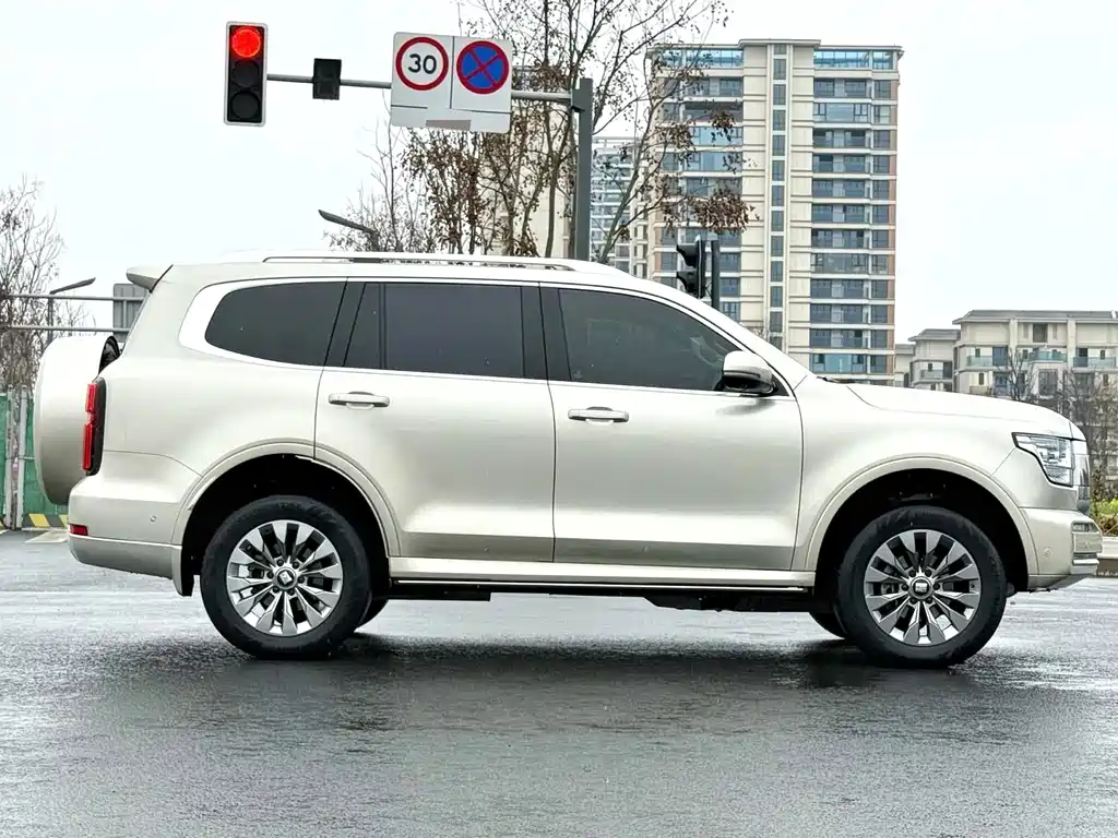 Tank 500 2022 model 3.0T sports version, environment type, 5 seats купить на сайте DeffCars
