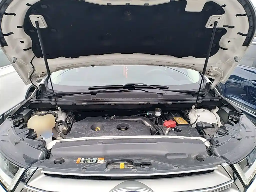 Ruijie 2018 EcoBoost 245 2WD Hao Rui 7-seater National VI купить на сайте DeffCars
