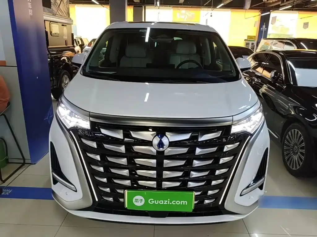 Denza D9 2024 DM-i 980 four-wheel drive premium model купить на сайте DeffCars