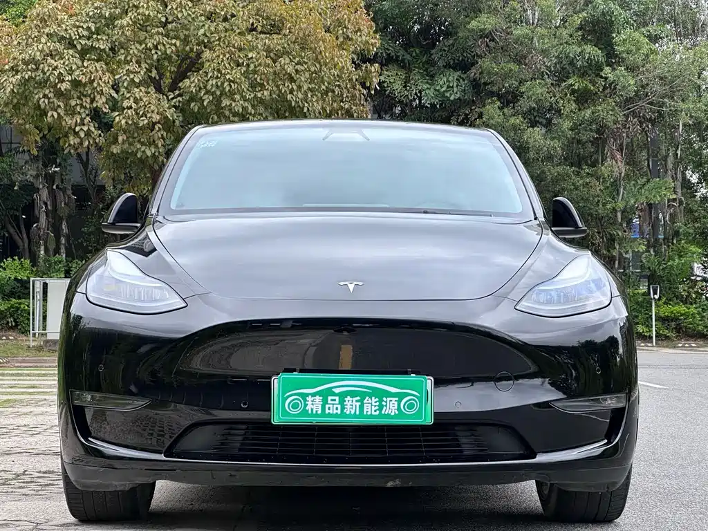 Model Y 2022 long-range all-wheel drive version купить на сайте DeffCars