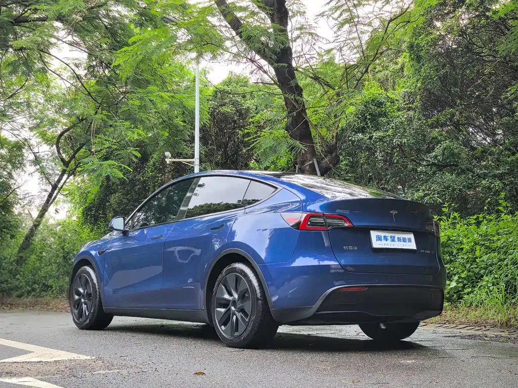 Model Y 2023 rear-wheel drive version купить на сайте DeffCars