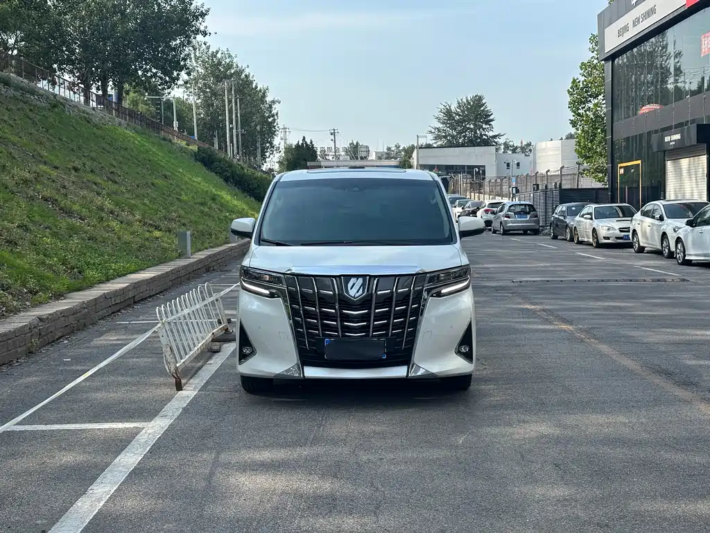 Alfa 2021 Dual Engine 2.5L Deluxe Edition купить на сайте DeffCars