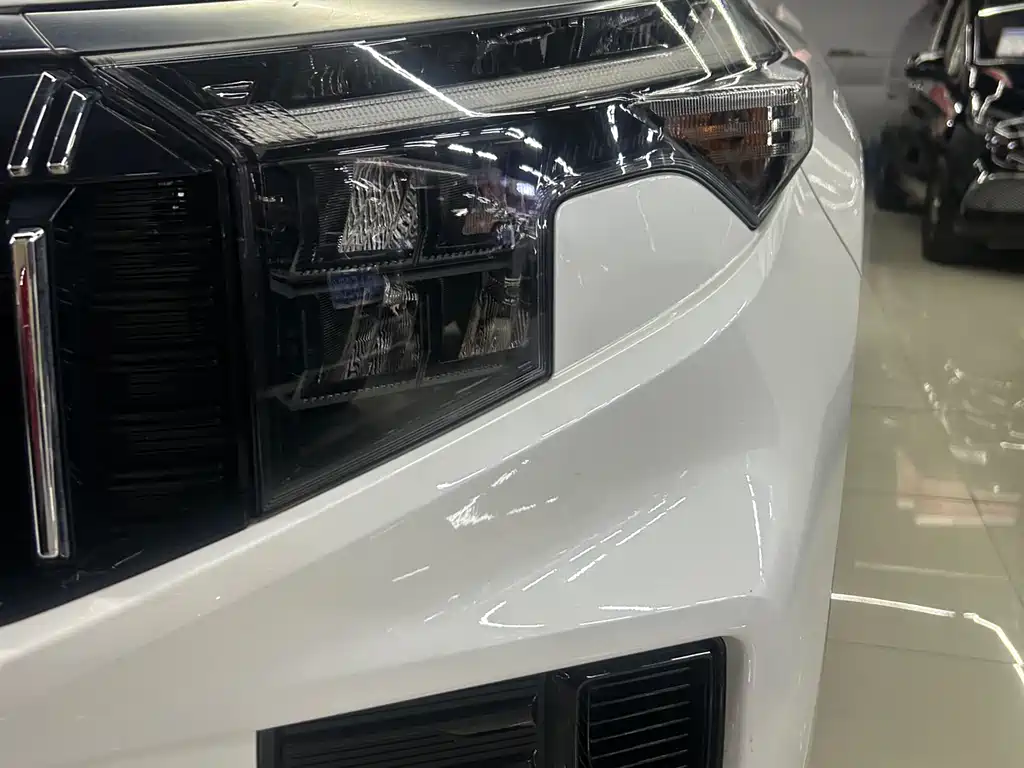 Zhipao 2021 Ace 2.0L Wonderful Edition купить на сайте DeffCars