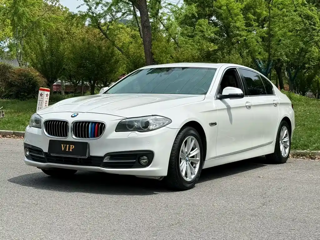BMW 5 Series 2017 520Li Elegant купить на сайте DeffCars