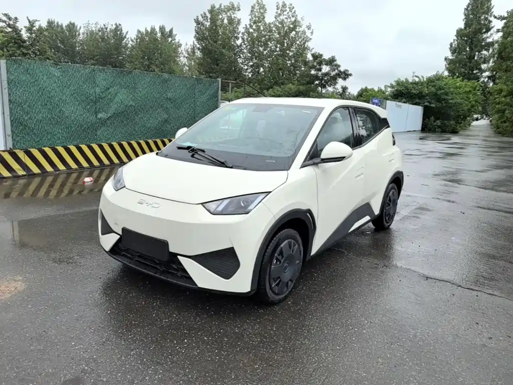 Seagull 2025 Smart Driving Edition 305km Dynamic купить на сайте DeffCars