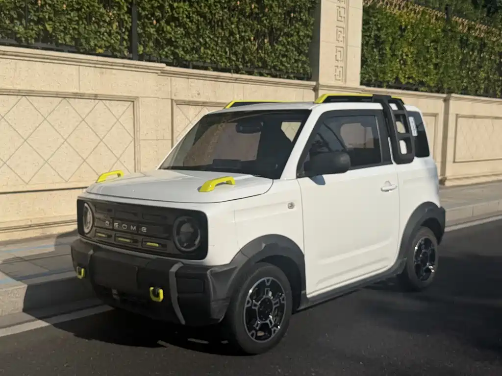 Panda (Geome) 2024 model 200km rider купить на сайте DeffCars